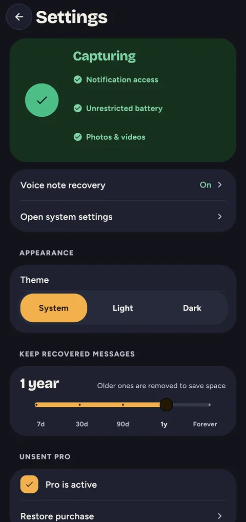 Settings: capture status, theme, how long to keep messages and Pro